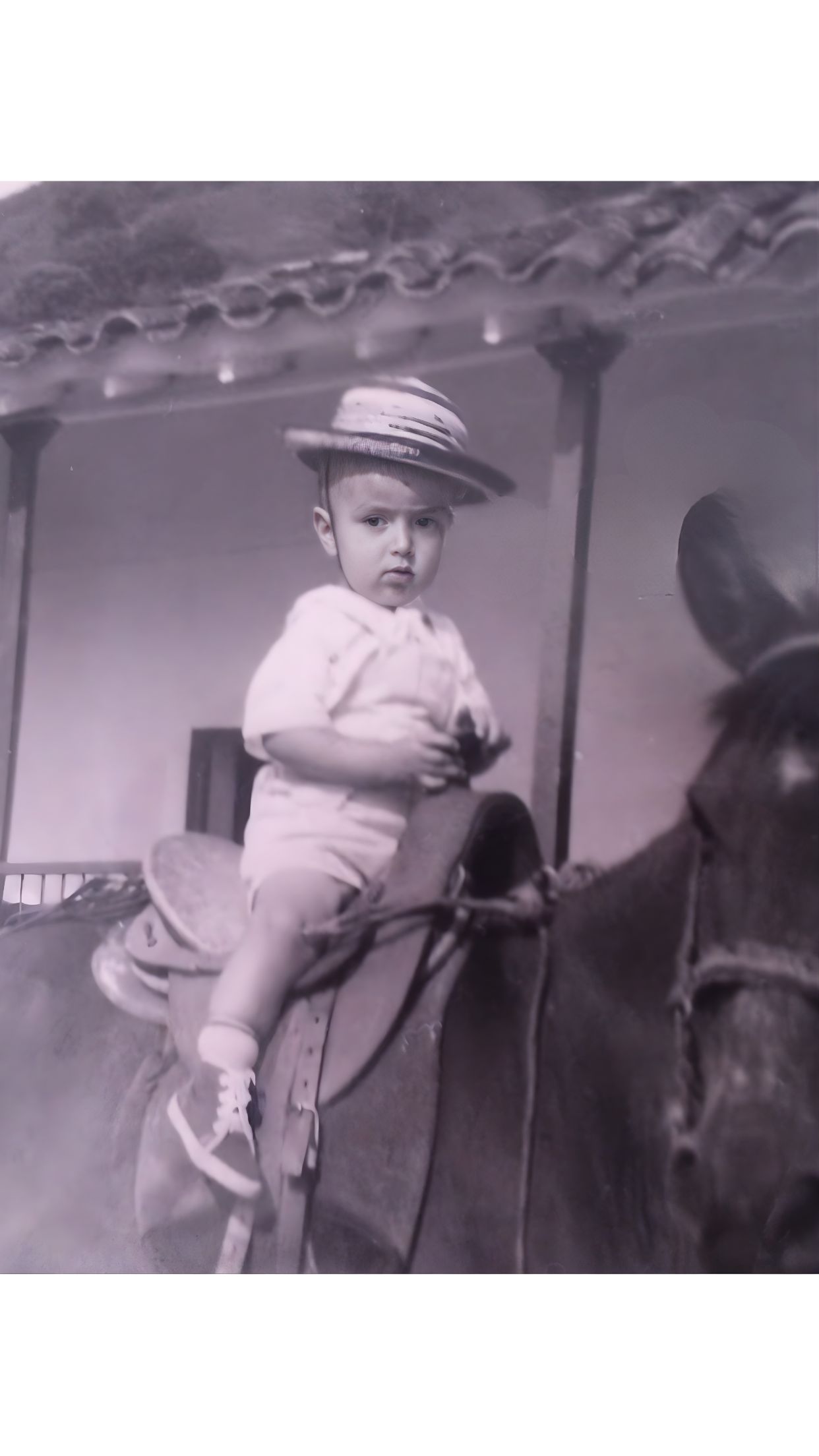 José Leguizamón — Gründer theCowsVoice